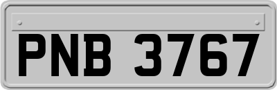 PNB3767