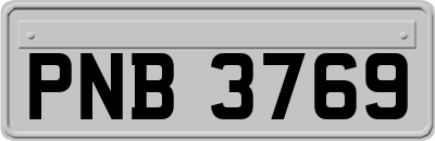 PNB3769