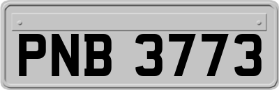 PNB3773