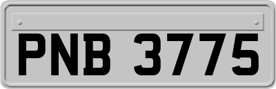 PNB3775