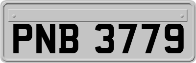 PNB3779