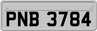 PNB3784