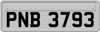 PNB3793