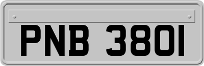 PNB3801