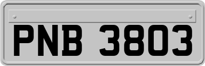 PNB3803