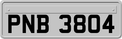 PNB3804