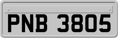 PNB3805