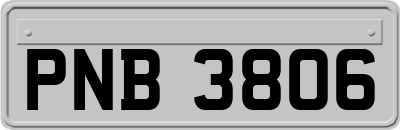 PNB3806