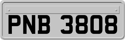 PNB3808