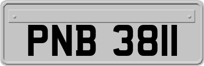 PNB3811