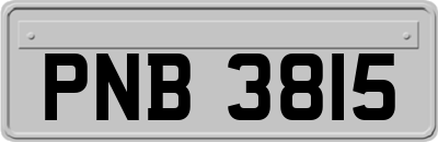 PNB3815