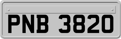 PNB3820