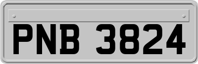 PNB3824