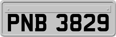 PNB3829