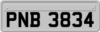 PNB3834