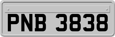 PNB3838