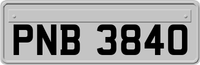 PNB3840