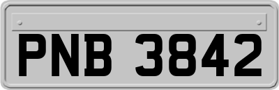 PNB3842