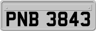 PNB3843