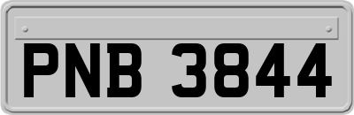 PNB3844