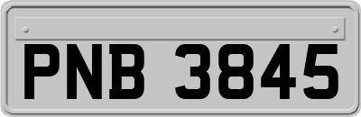 PNB3845