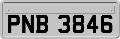 PNB3846