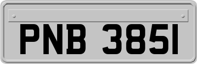 PNB3851