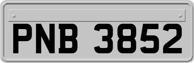 PNB3852