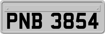 PNB3854