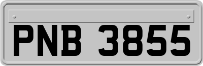 PNB3855