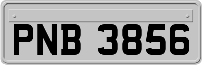 PNB3856