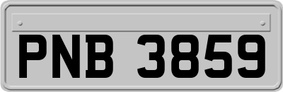 PNB3859