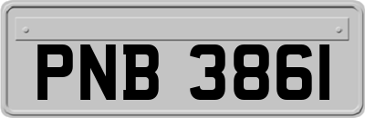 PNB3861