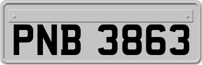 PNB3863