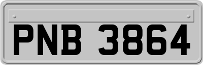 PNB3864