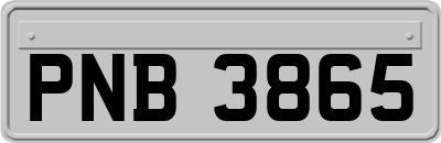 PNB3865