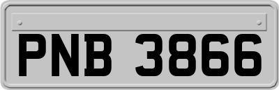 PNB3866