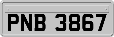 PNB3867
