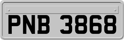 PNB3868