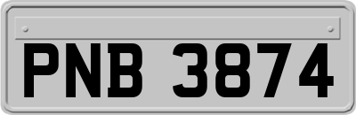 PNB3874