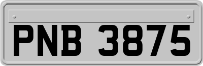 PNB3875