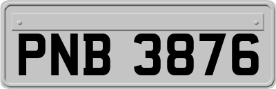 PNB3876