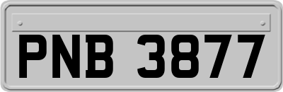 PNB3877