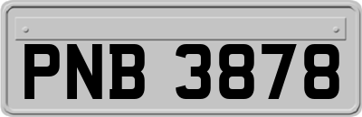 PNB3878