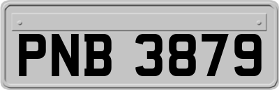 PNB3879