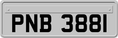 PNB3881