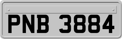 PNB3884