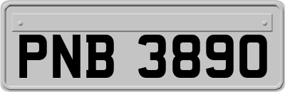 PNB3890