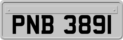 PNB3891