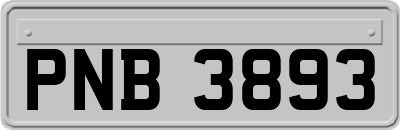 PNB3893